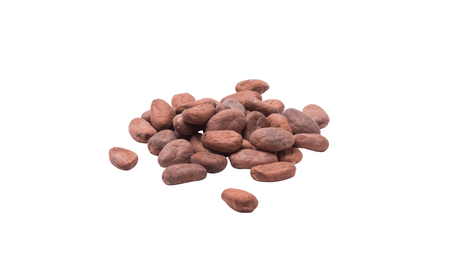 Trámites